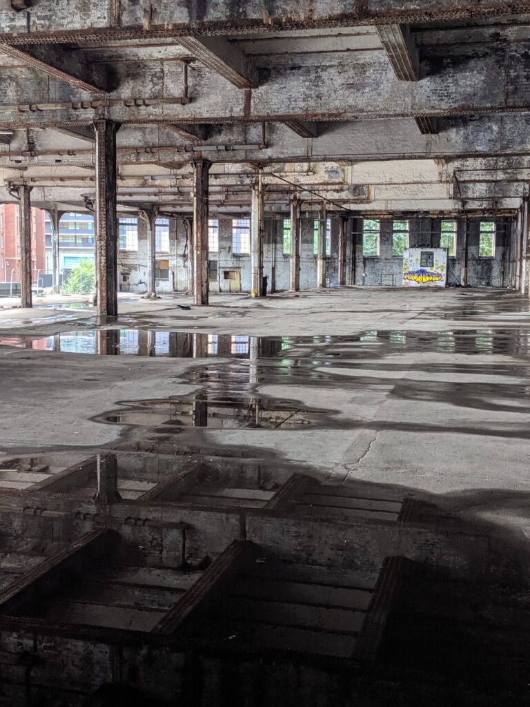 00000IMG_00000_BURST20190729135501525_COVER