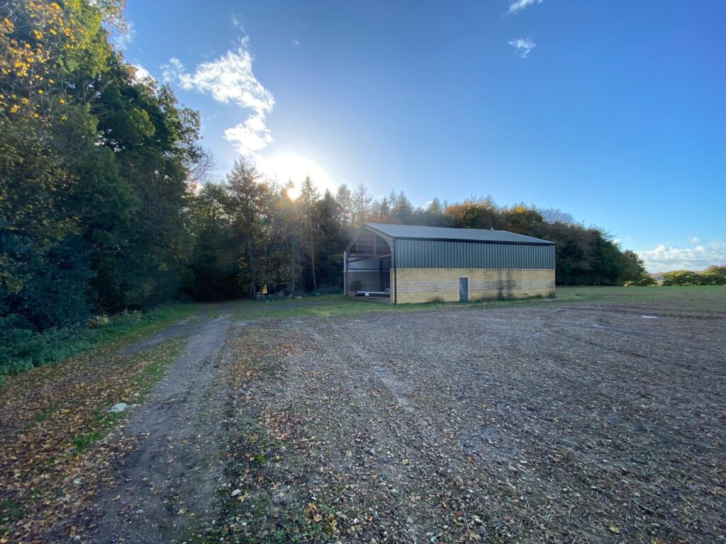 a tree in the middle of a dirt field