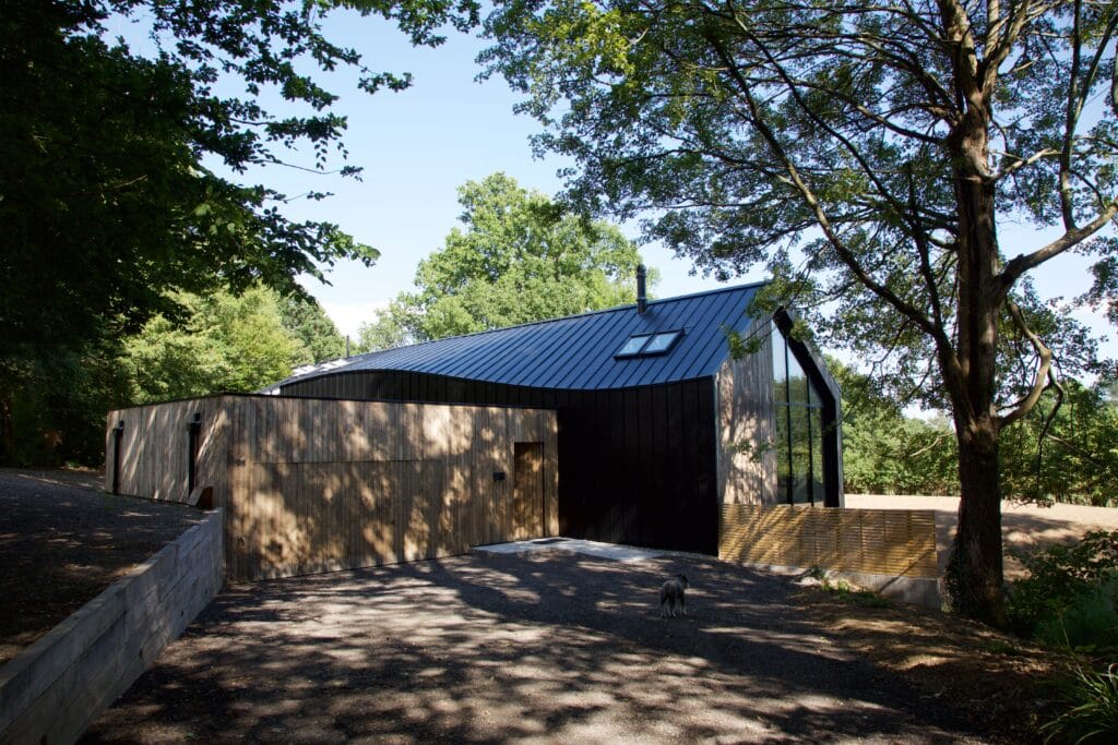a path with trees on the side of a building