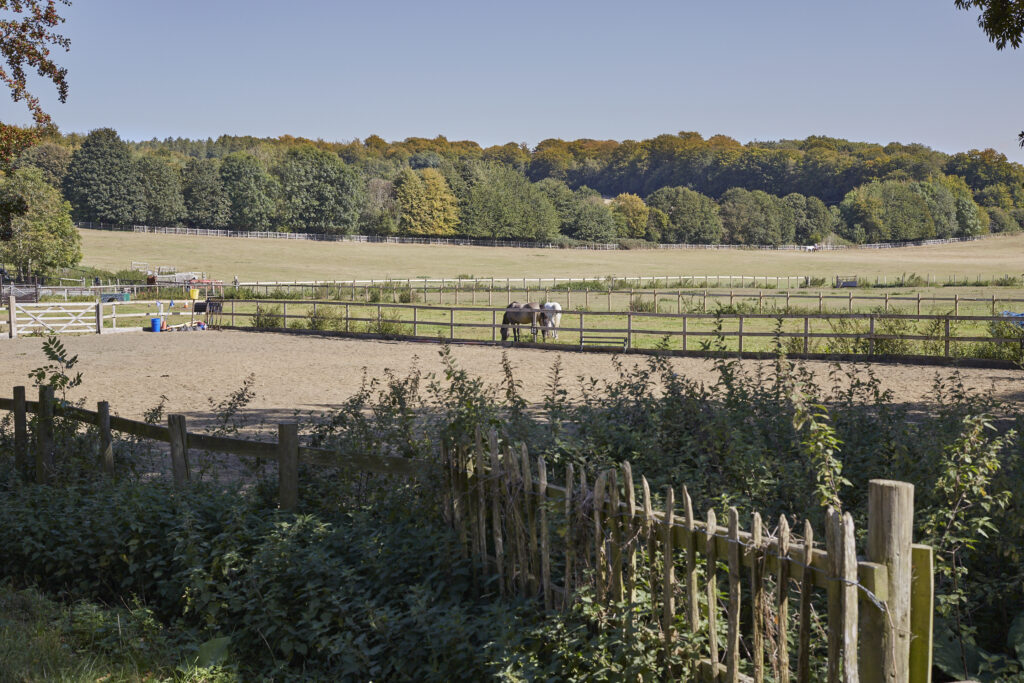 MissendenValley_034