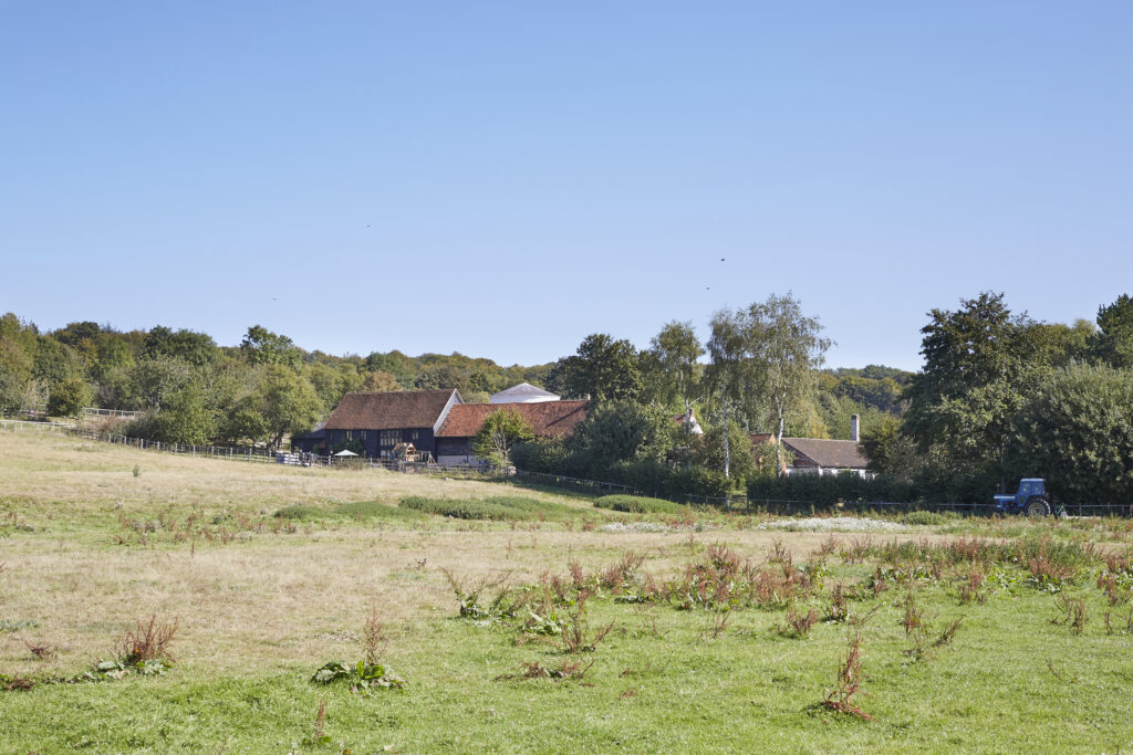 a large green field with trees in the background