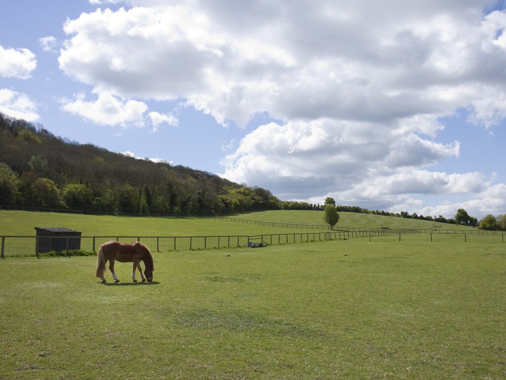 Wainhill-121