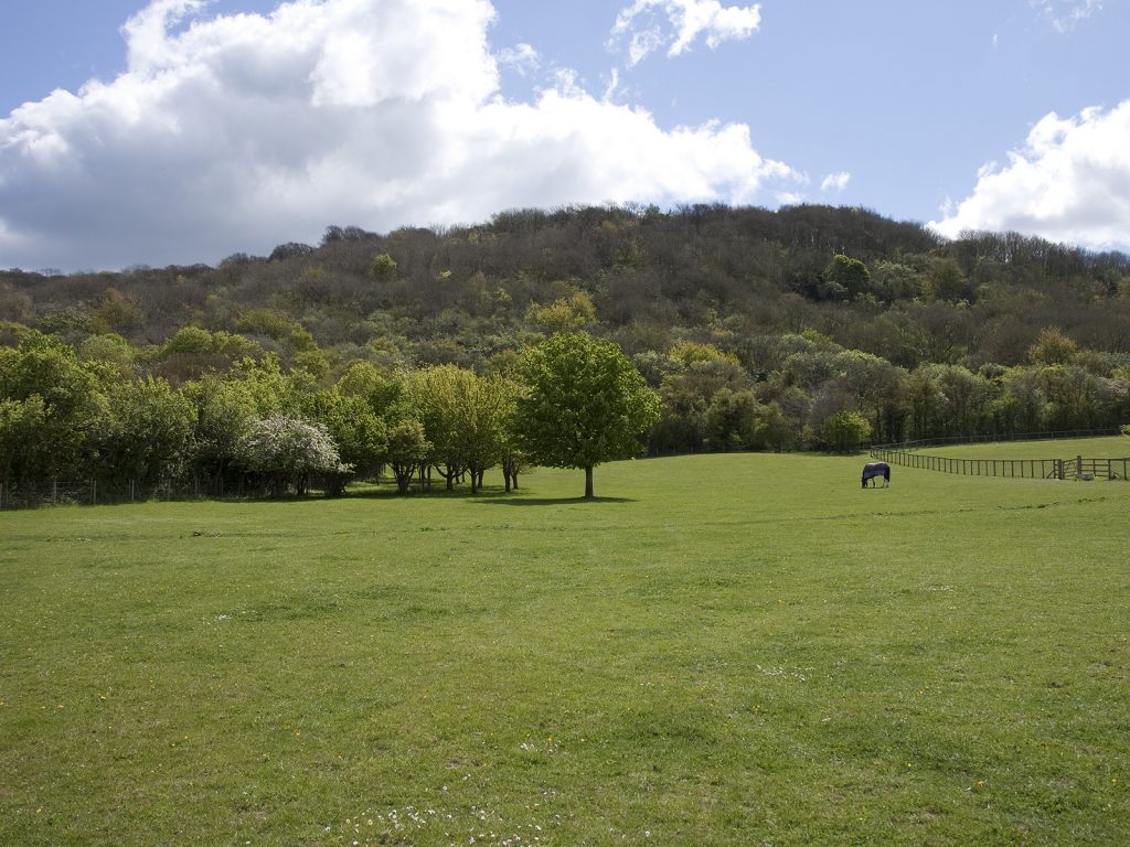 Wainhill-148