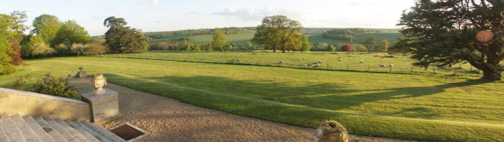 a large green field with trees in the background