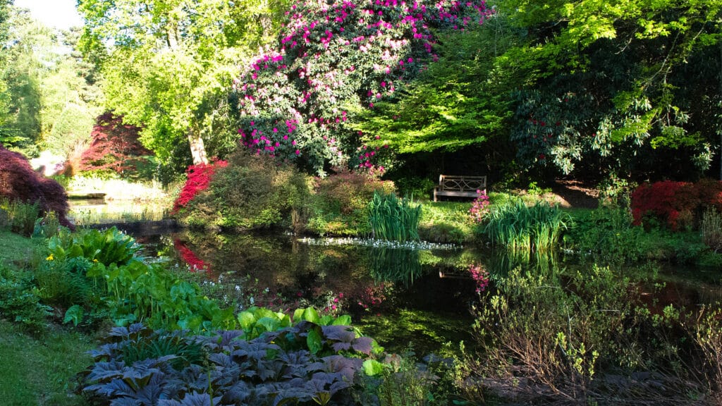 a close up of a flower garden with Compton Acres in the background