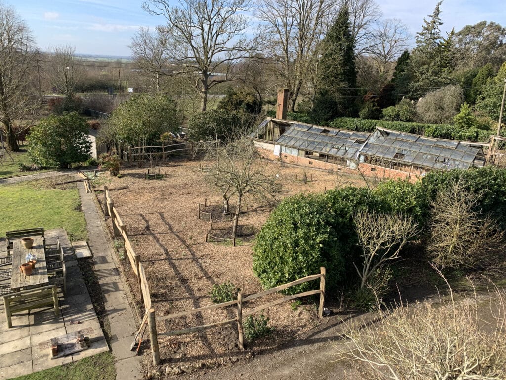 a close up of a garden