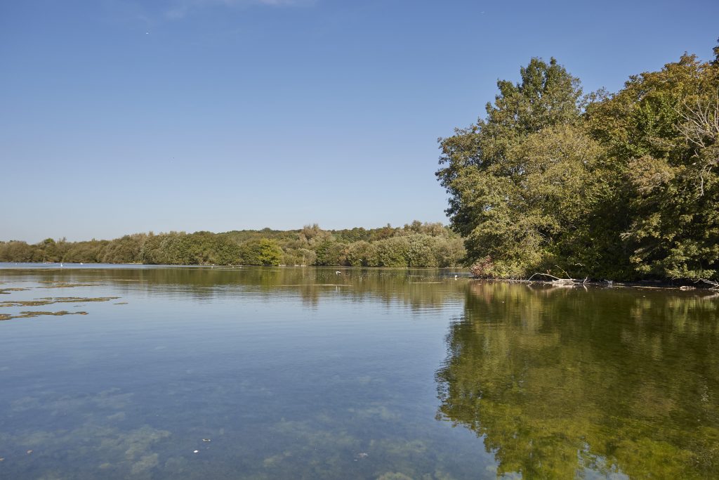 a body of water