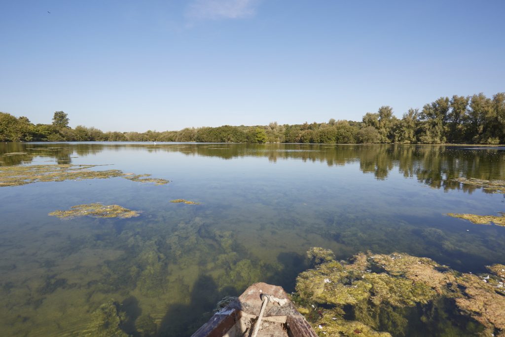 a river running through a body of water