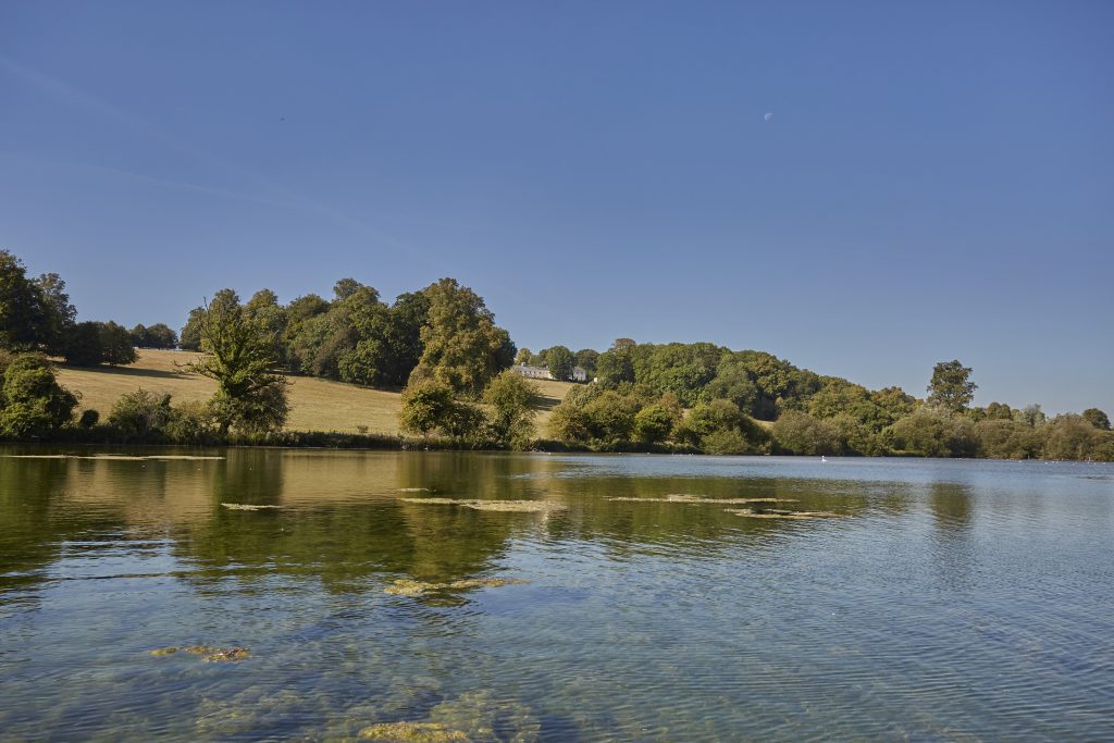 a body of water surrounded by trees