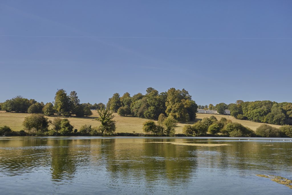 a body of water surrounded by trees