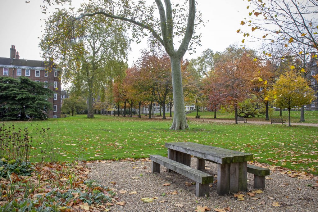 a wooden bench sitting in the middle of a park