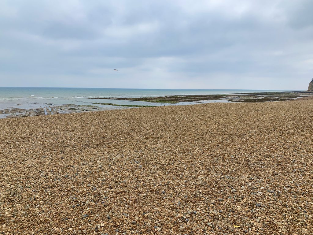 a sandy beach next to the ocean