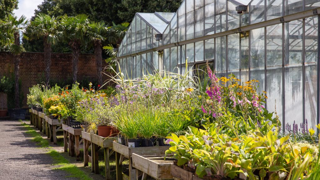 a close up of a flower garden in front of a building