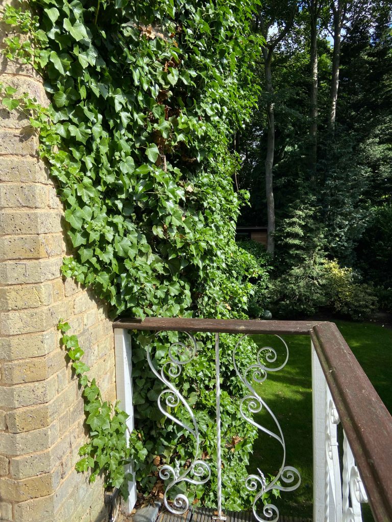 a tree next to a brick wall