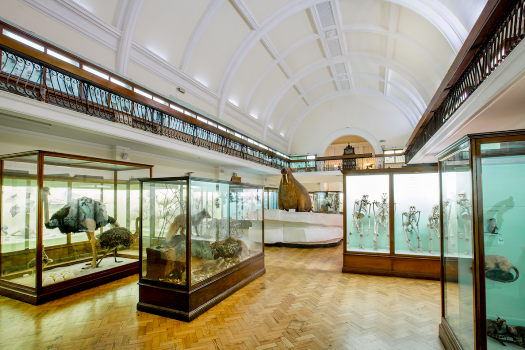 HORNIMANScreen Shot 2021-08-11 at 09.19.29