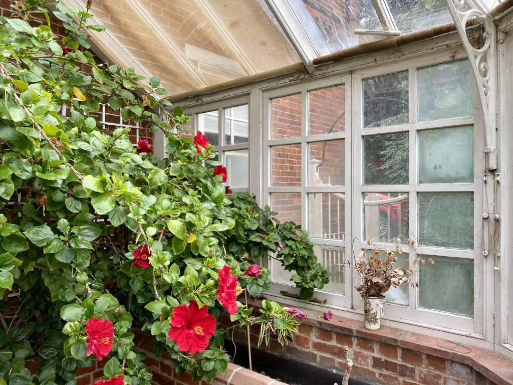a vase of flowers on a brick building