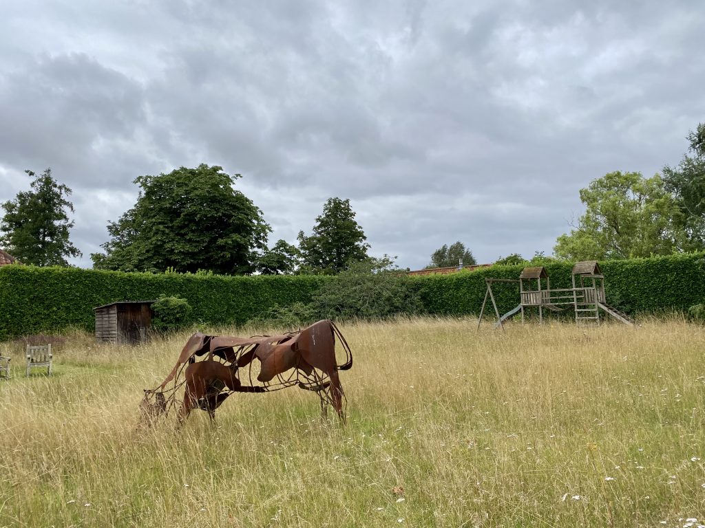 a group of cattle grazing on a lush green field