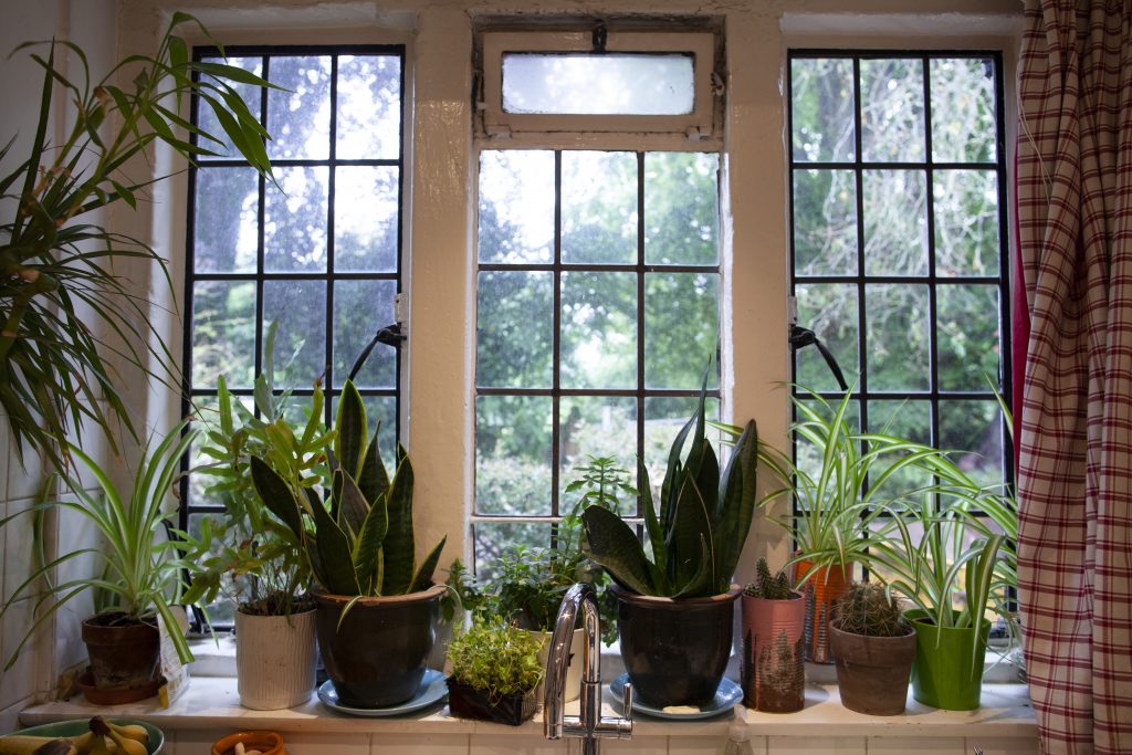a room filled with furniture and vase of flowers on a sunny window