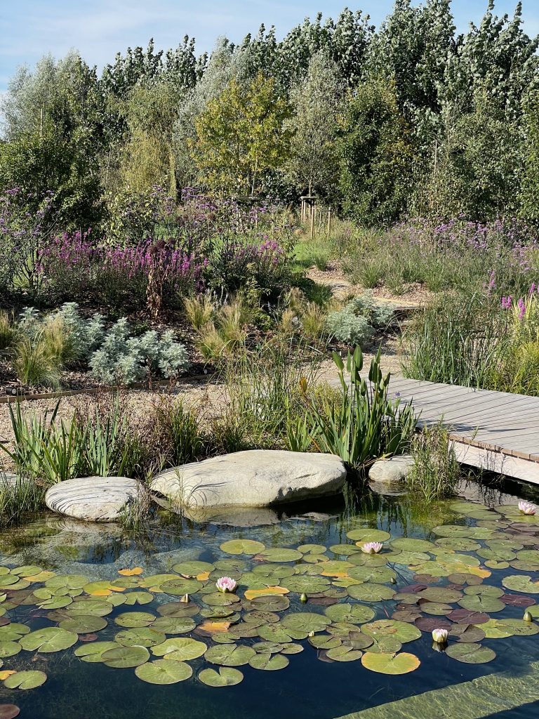 a garden with water in the background