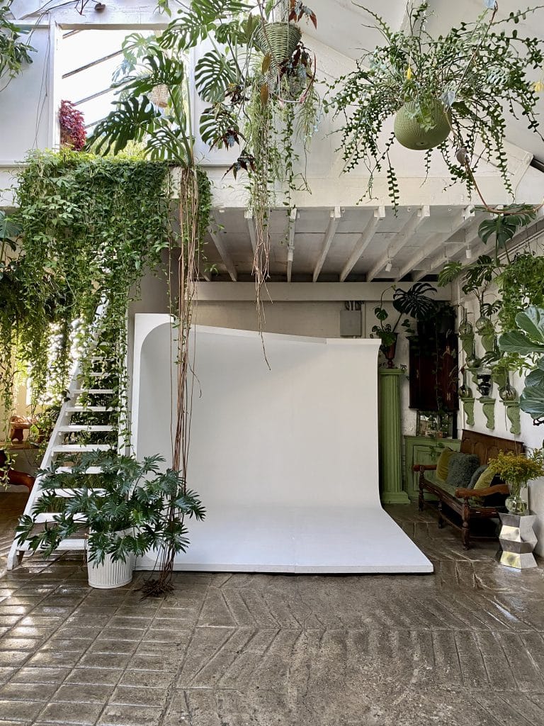 a close up of a garden