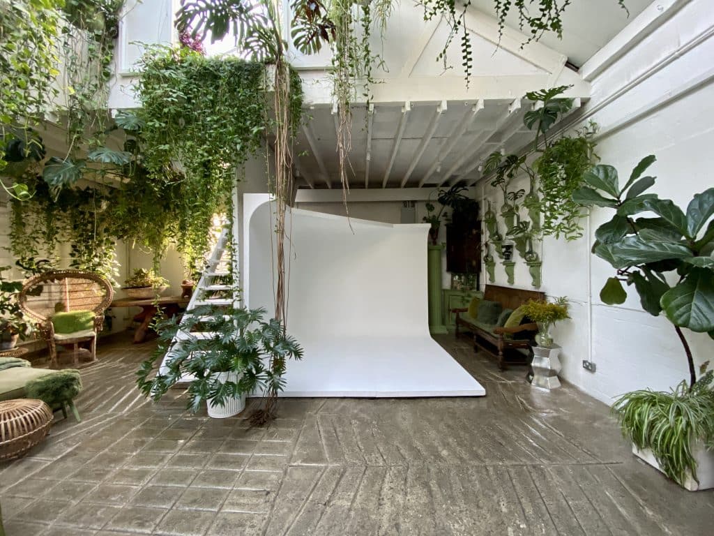 a room filled with furniture and a plant in a garden