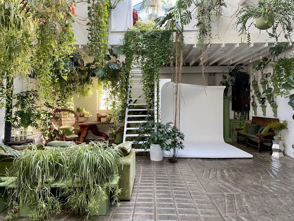 a garden in front of a house