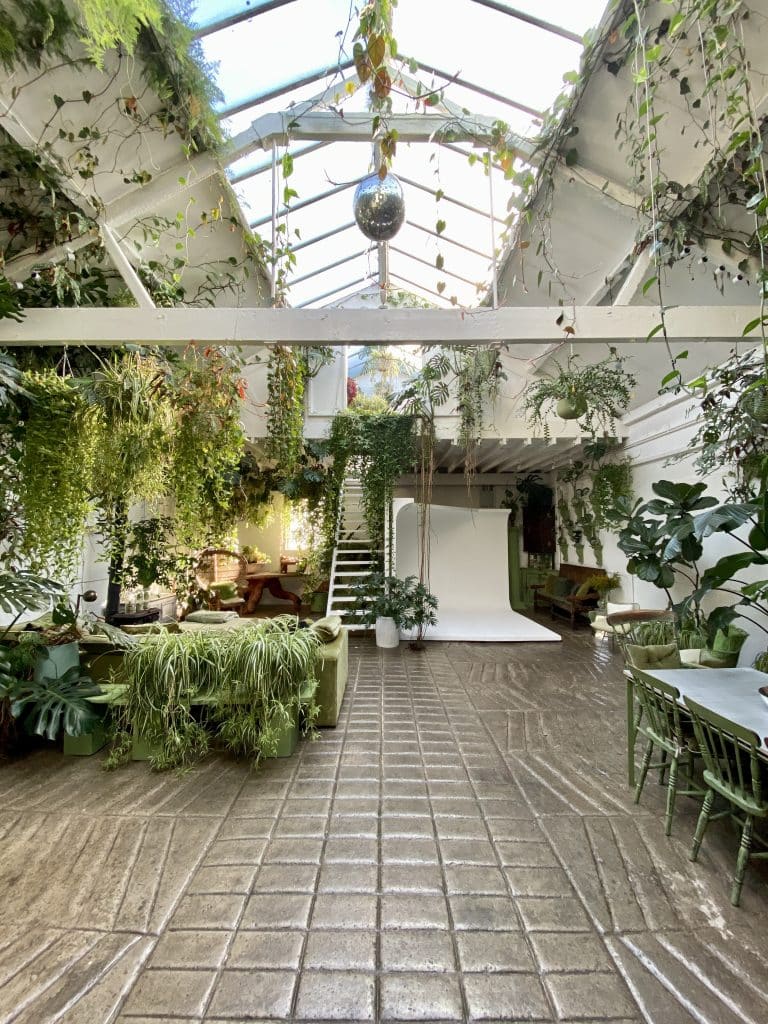 a close up of a garden