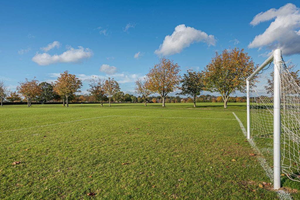 a large green field with trees in the background