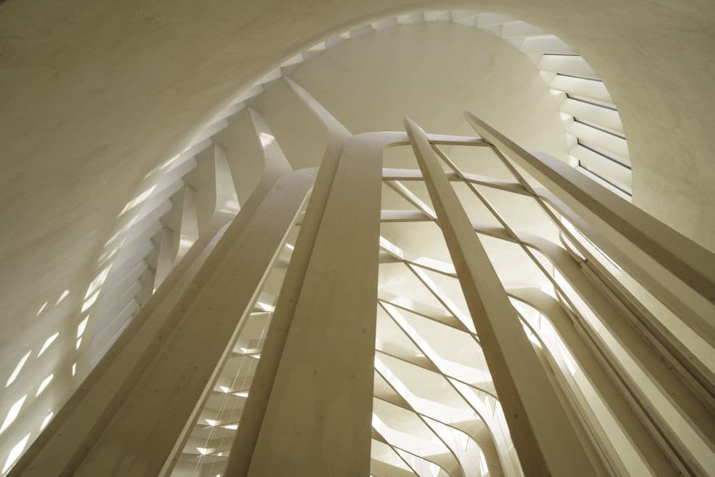 0140-PBS-Photos-at-Cuddesdon_-photo-by-Ash-Mills-ZF-4381-02518-1-001-013