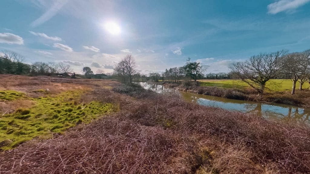 GRANGETop of Lake_2022-08-19_16.38.05