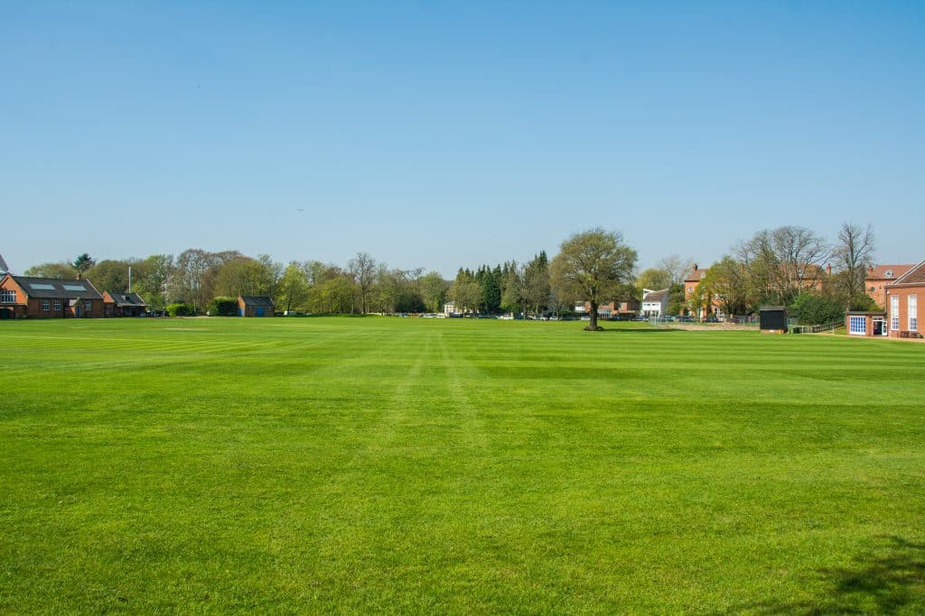 a person standing on a lush green field