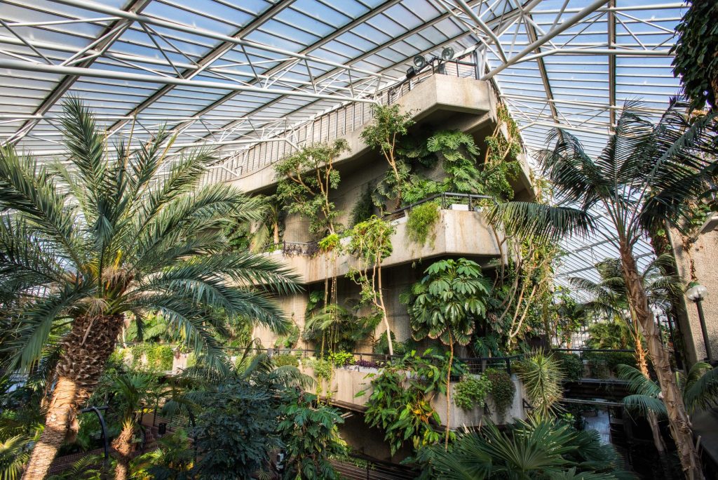 THECONSERVATORY0955-HDR Conservatory, Barbican Centre, CREDIT Max Colson