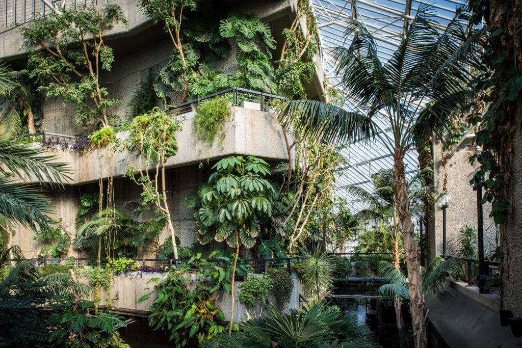 THECONSERVATORY14. Conservatory, Barbican Centre, CREDIT Max Colson
