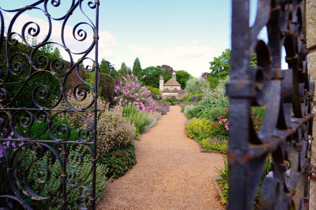 a close up of a garden