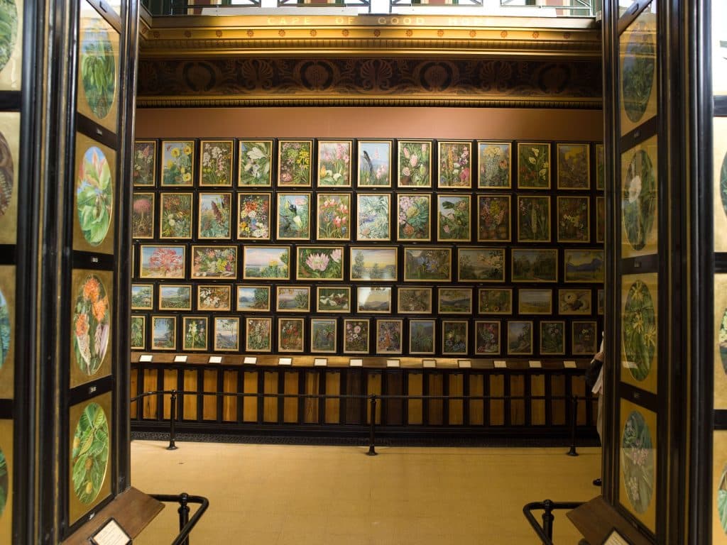 KEWMarie-Ann North Gallery