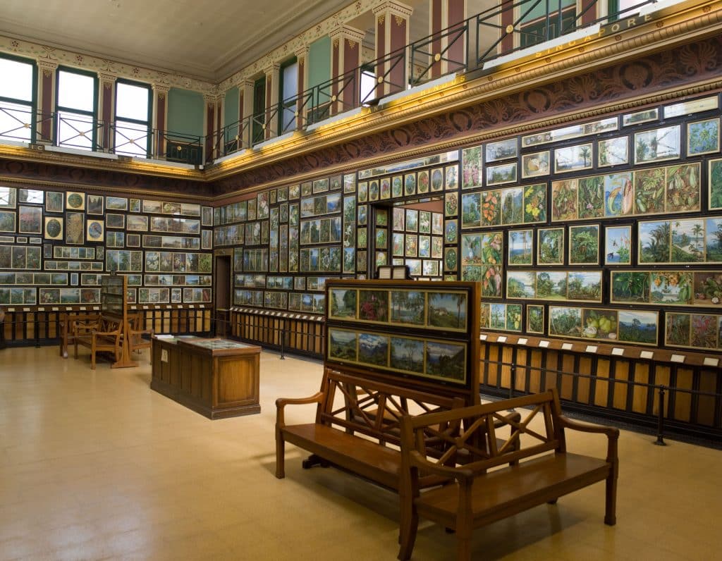 KEWMarie-Ann North Gallery2