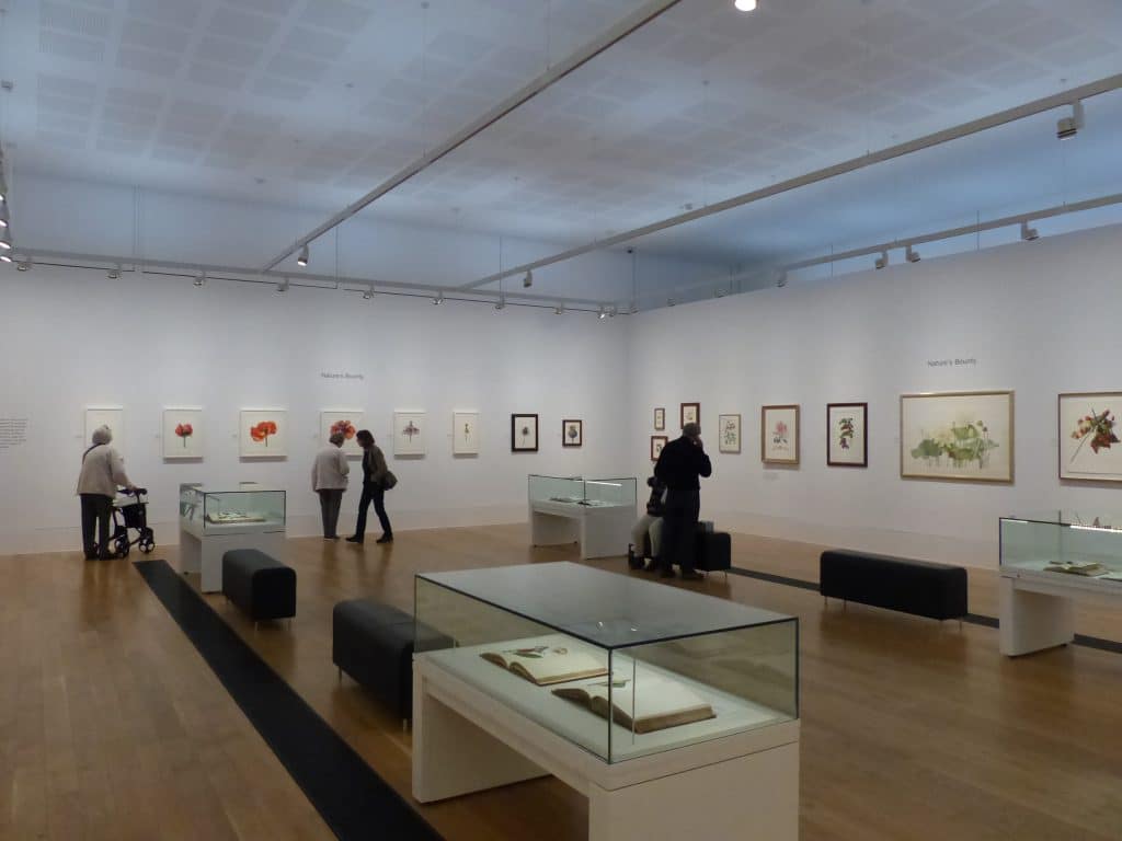 a group of people performing on a counter