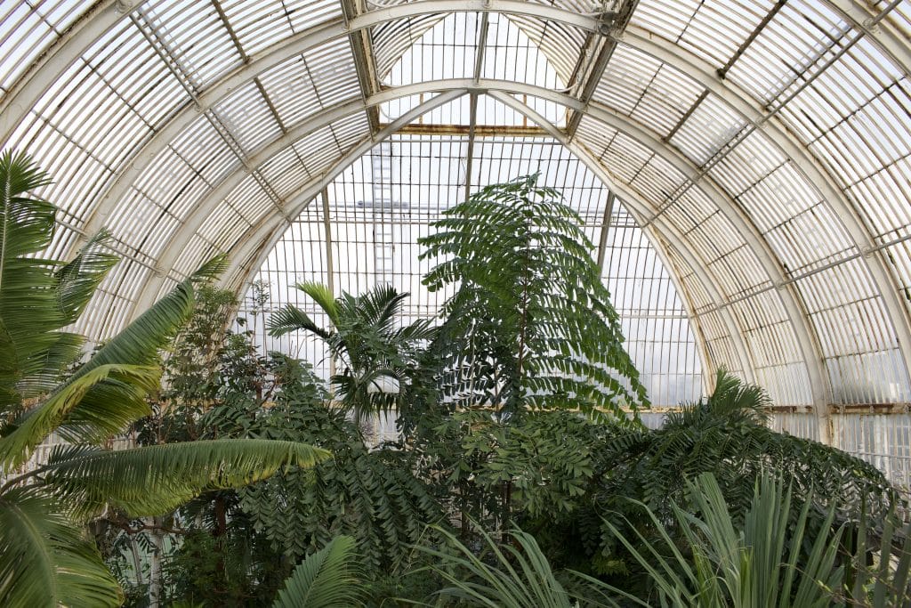 Kew_Locations_2022_053
