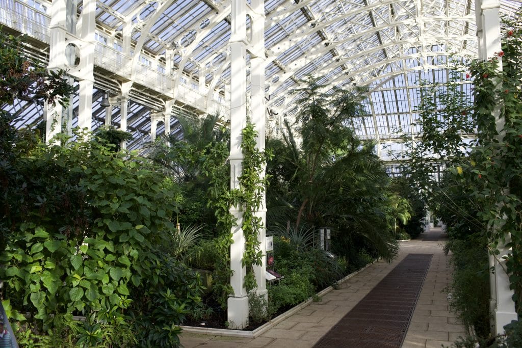 Kew_Locations_2022_080
