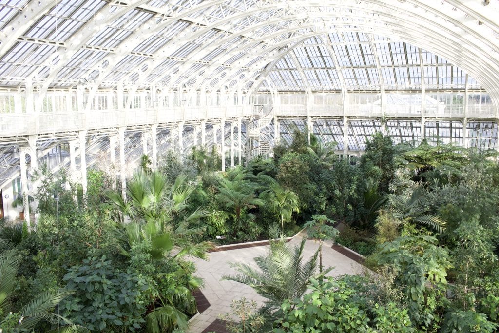 Kew_Locations_2022_086
