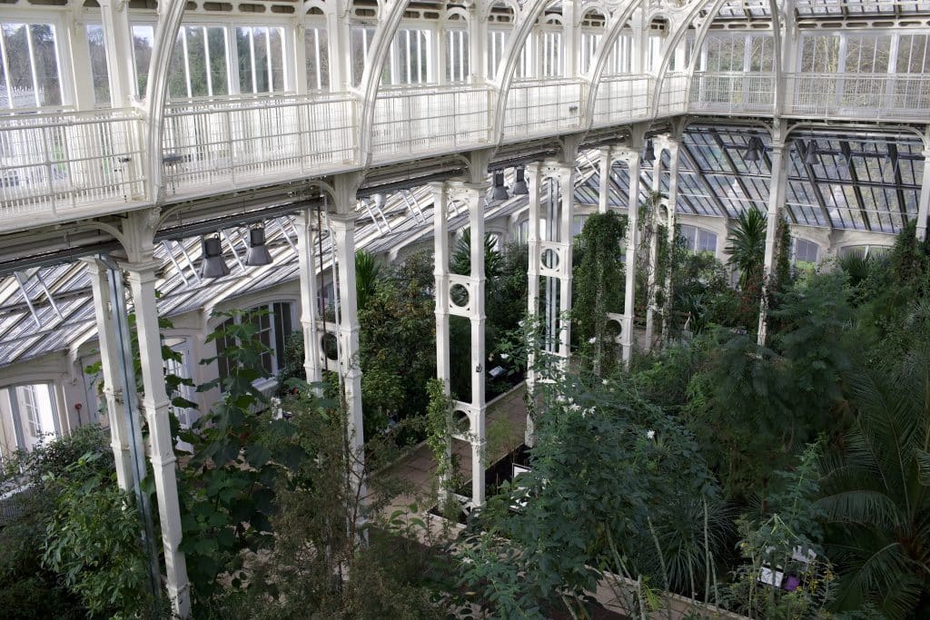 Kew_Locations_2022_092