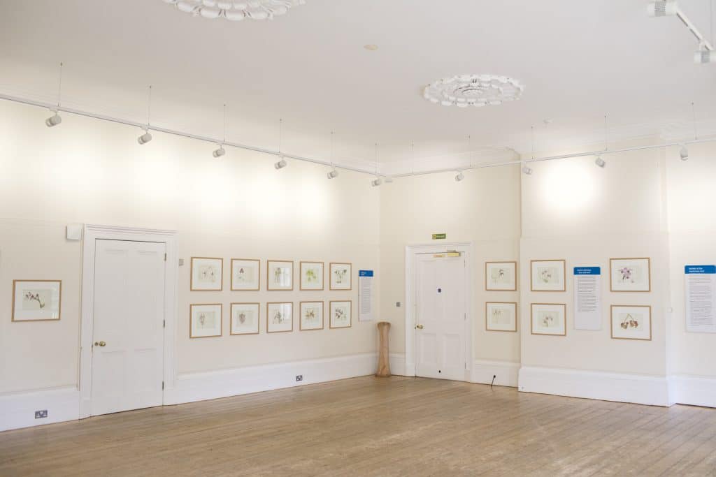 Kew_Locations_2022_136