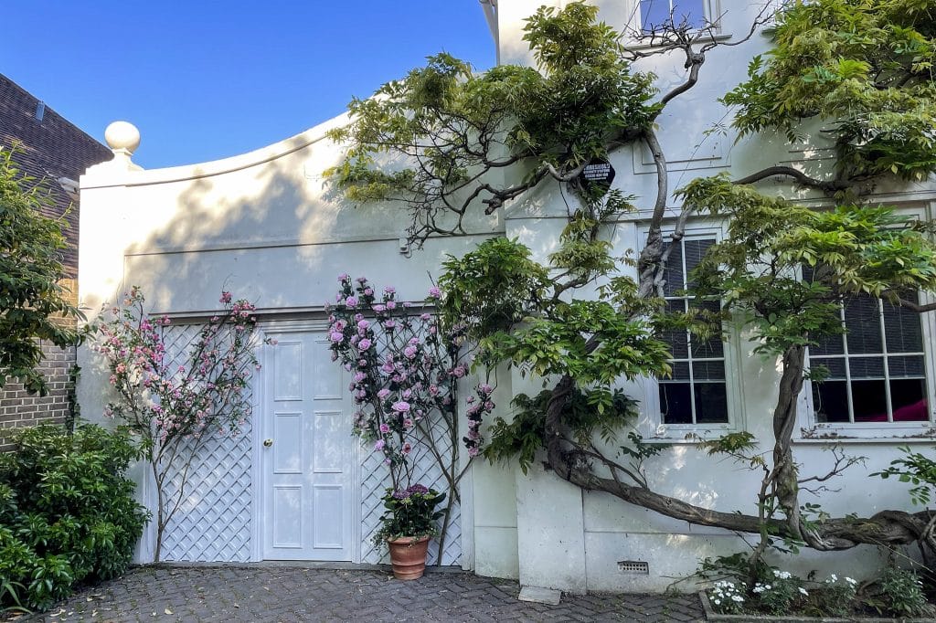 a tree in front of a house