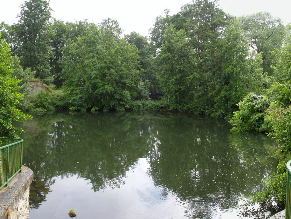 a body of water surrounded by trees