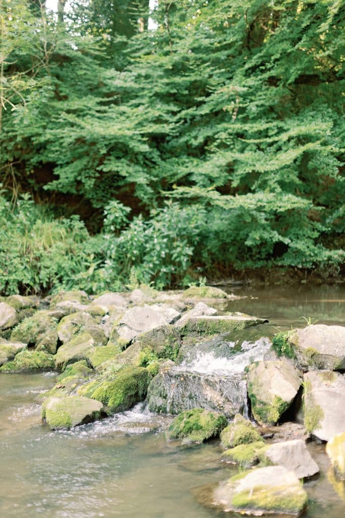 PARNHAM PARK Waterfall (2)