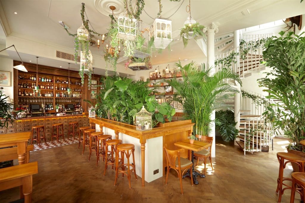 BOTANICAL BAR 1