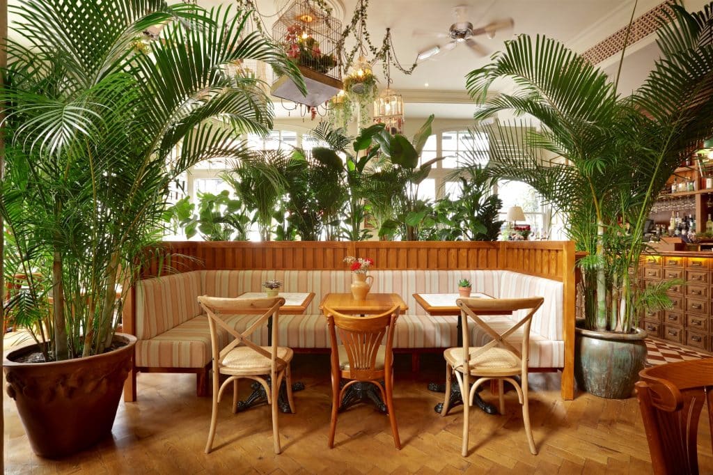 a dining room table in front of a palm tree