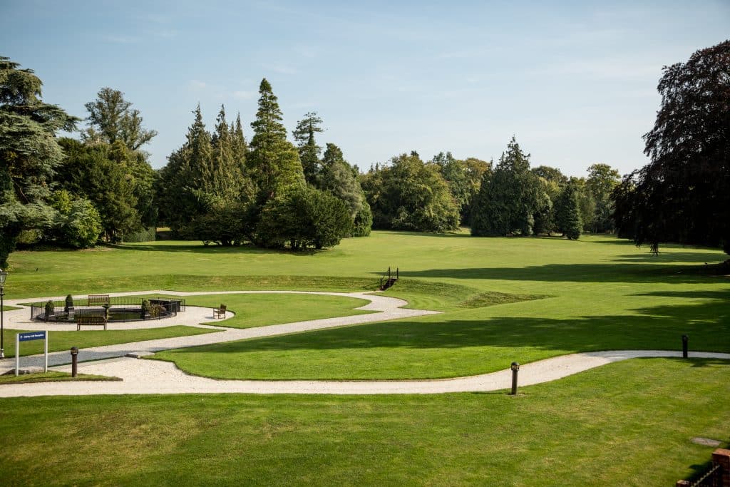 a group of lawn chairs sitting on top of a lush green field