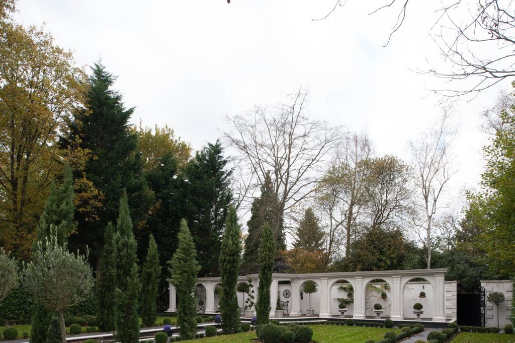 a large tree in a park