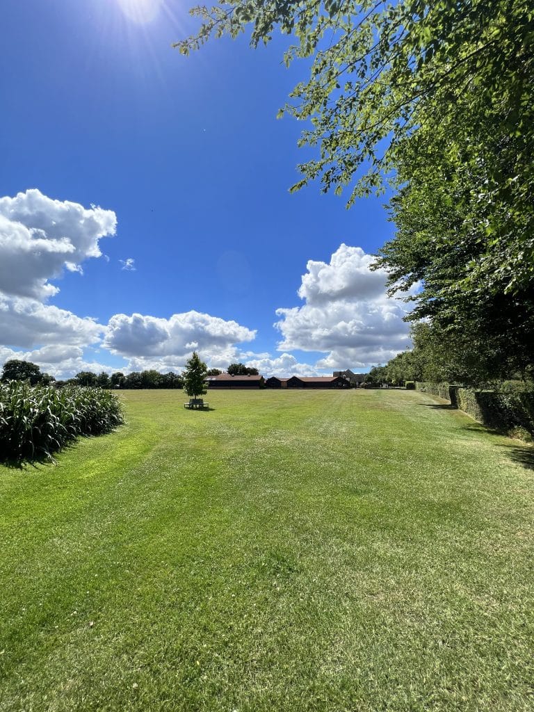a large green field with trees in the background